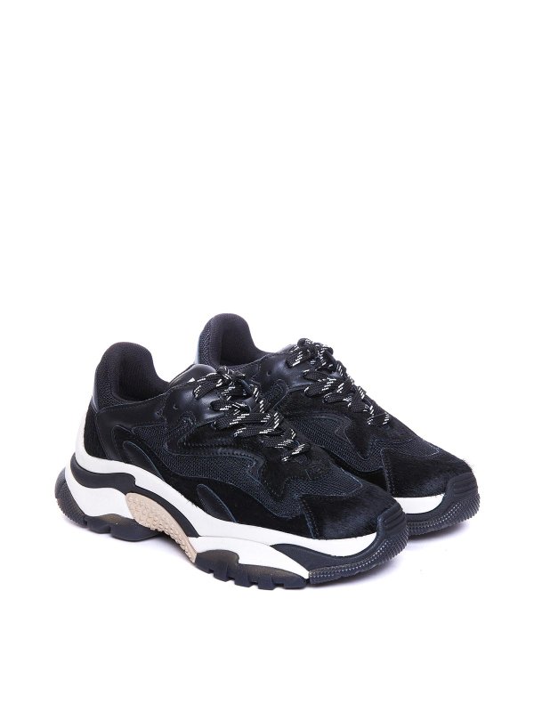 ASH: trainers online - Addict calf sneakers