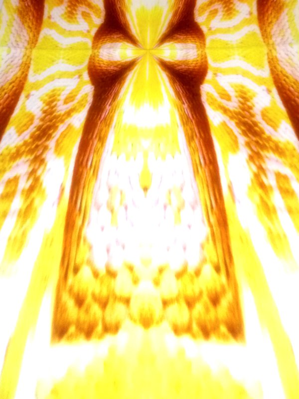 MARIA ENRICA NARDI: Maison online - Couverture - Jaune