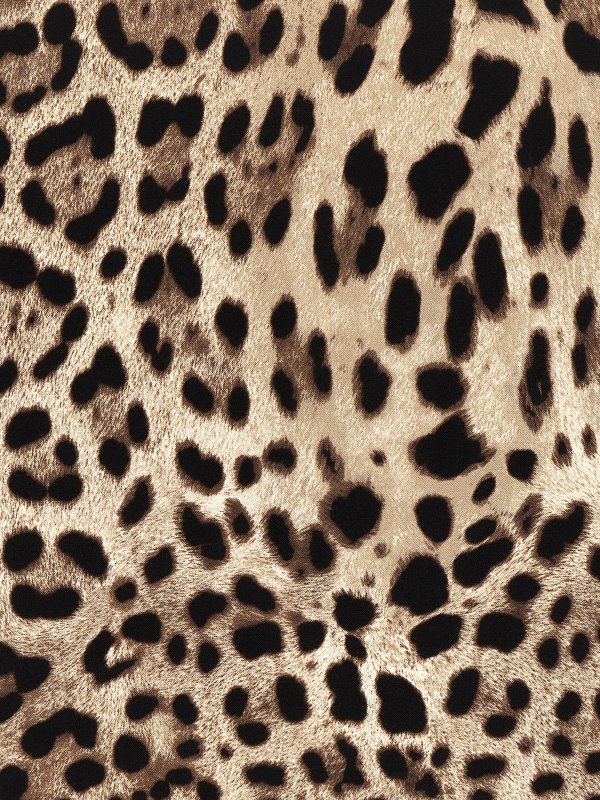 iKRIX DOLCE & GABBANA: Stoles & Shawls - Leopard printed silk twill scarf