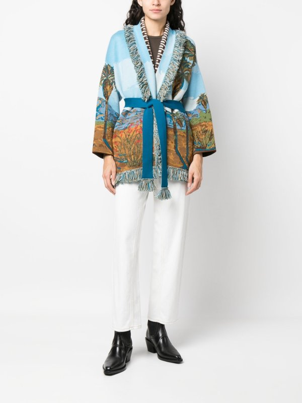 ALANUI buy online Cardigan - Braun