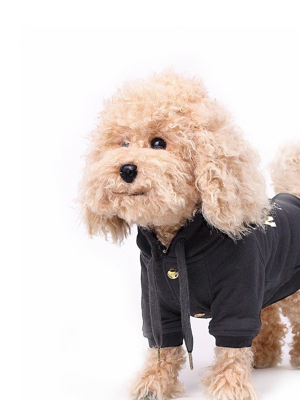 Moschino couture dog hoodie shop online: MOSCHINO