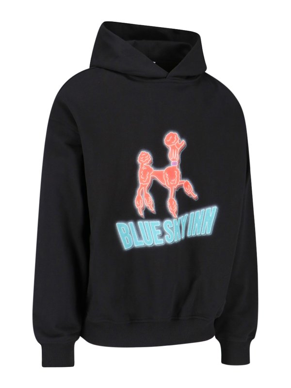 BLUE SKY INN: Sudaderas y suéteres online - Sudadera - Negro