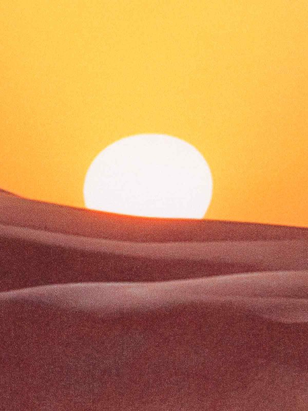 BLUE SKY INN buy online シャツ - ブラウン