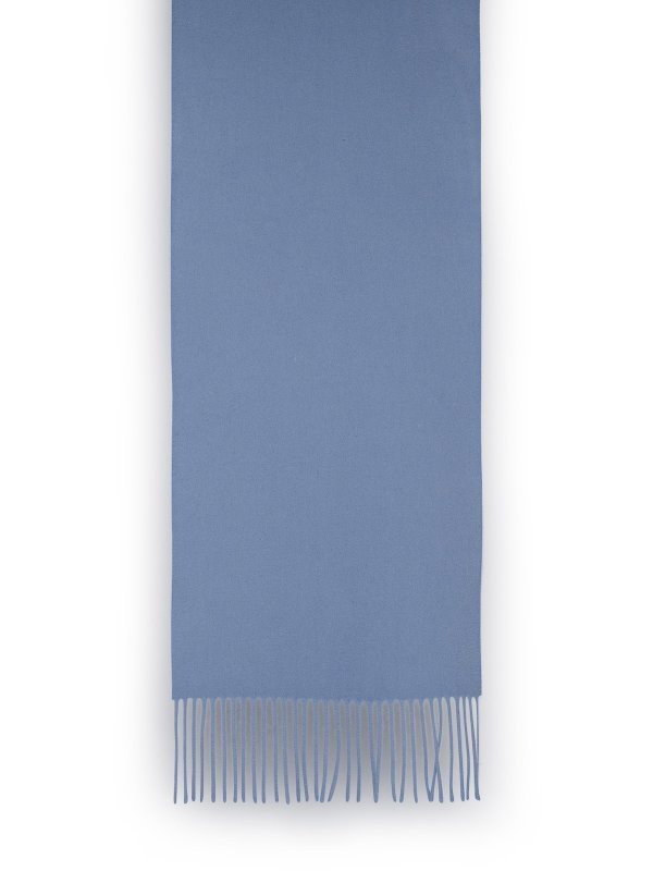 The Best Shops Max Mara: Schals - Schal - Hellblau