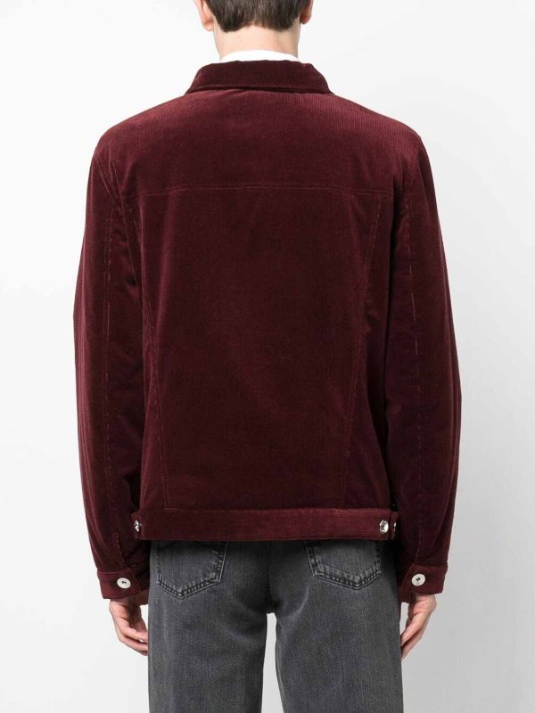 Padded jacket shop online: BRUNELLO CUCINELLI
