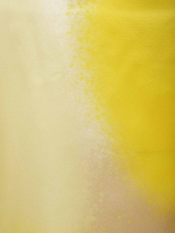 The Best Shops Gianluca Capannolo: knee length dresses - Carla Dress