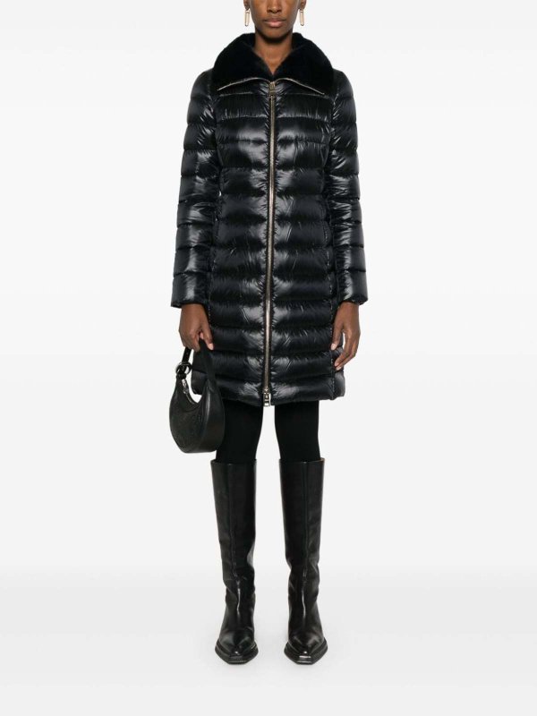 Padded jacket shop online: HERNO