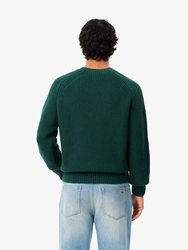 Pullover shop online: LACOSTE