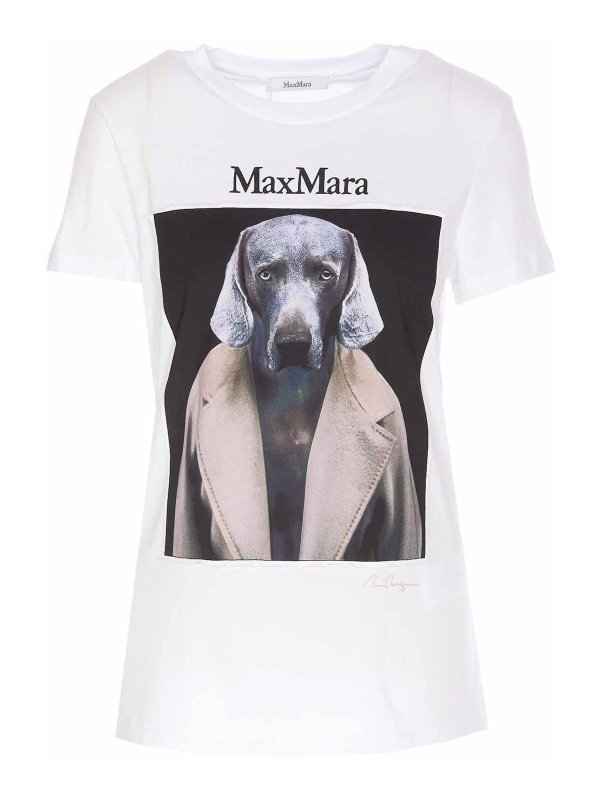 Max Mara: T-shirts - T-Shirt - Weiß