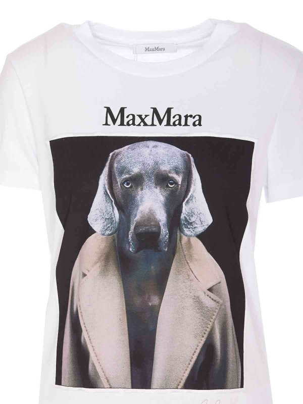 T-Shirt - Weiß shop online: Max Mara