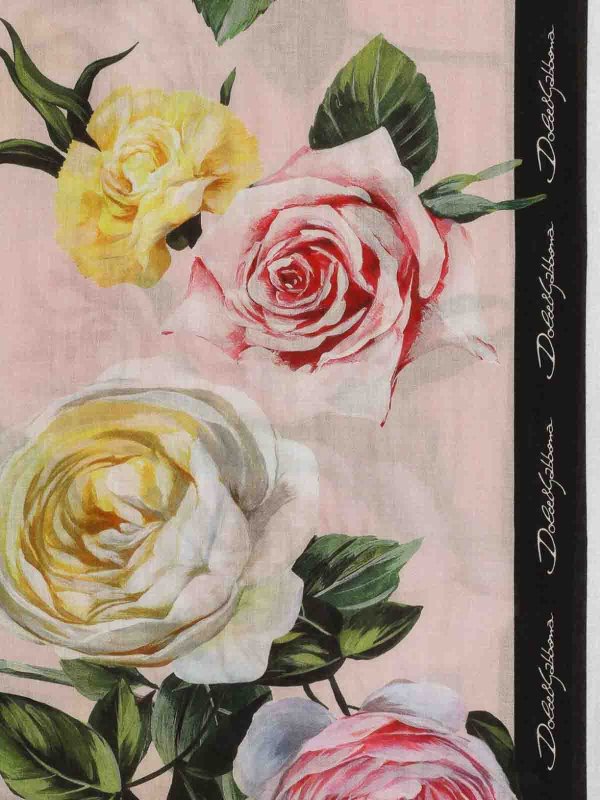 DOLCE & GABBANA: sciarpe e foulard online - Sciarpa