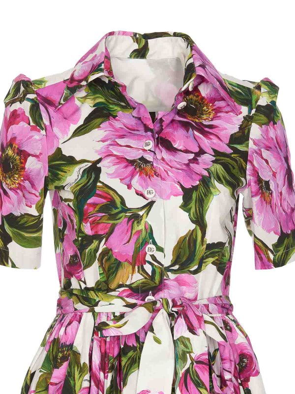 膝丈ドレス - マルチカラー shop online: DOLCE & GABBANA