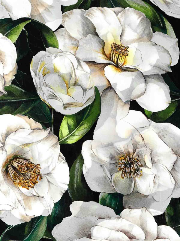 The Best Shops DOLCE & GABBANA: スカーフ - スカーフ - マルチカラー