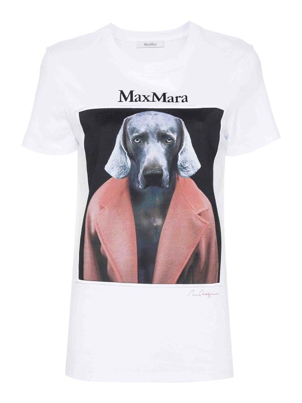 Max Mara: T-shirts - T-Shirt - Weiß