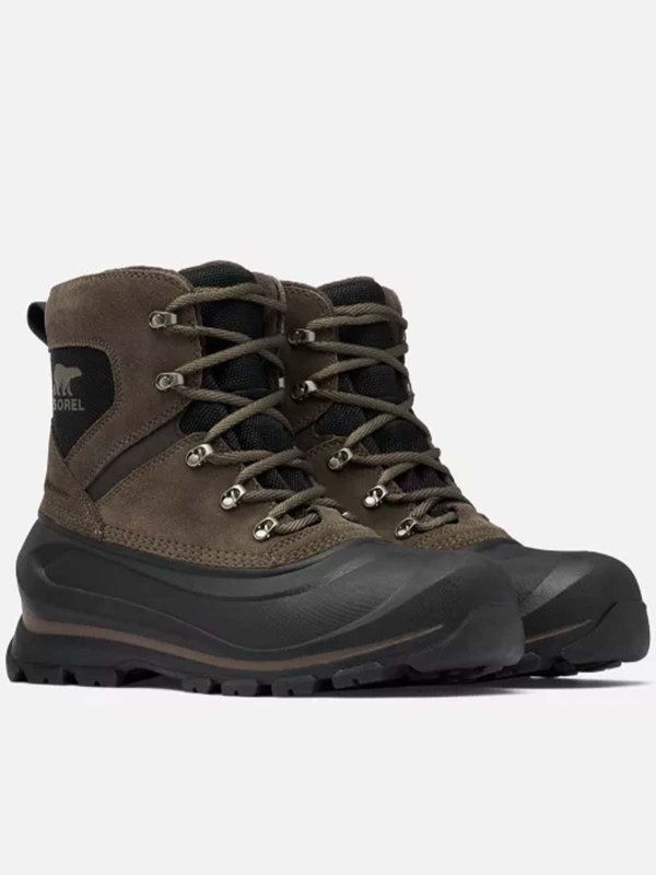 SOREL: ankle boots online - Buxton Lace Wp