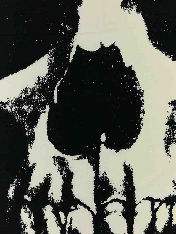 ALEXANDER MCQUEEN: scarves online - Foulard with printing