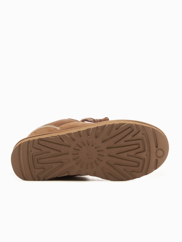 Sneaker - Braun shop online: UGG