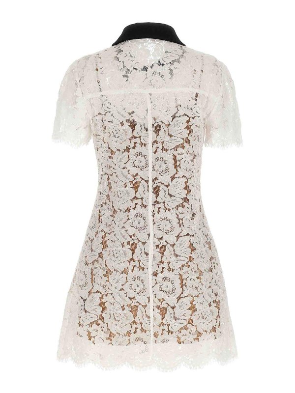 Self Portrait: short dresses online - White Lace Contrast Collar Mini Dress