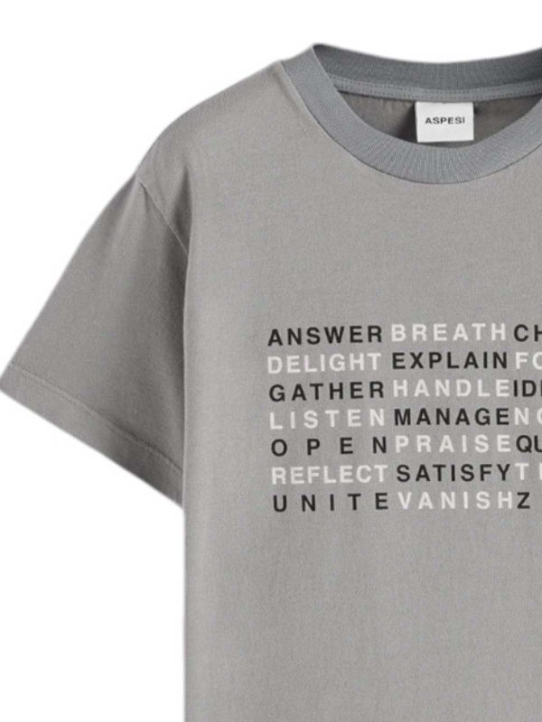 The Best Shops ASPESI: T-shirts - T-Shirt - Grau