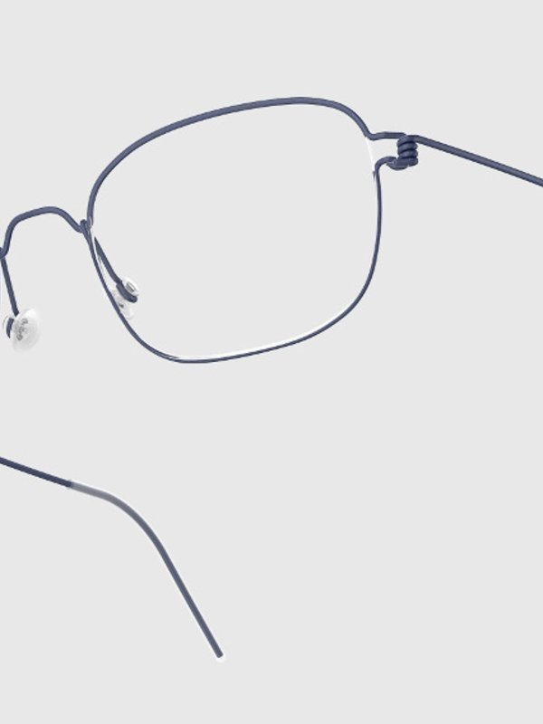 The Best Shops LINDBERG: gafas - Gafas - Marrón