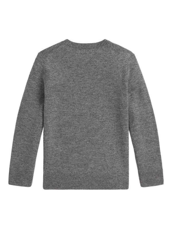 POLO RALPH LAUREN: crew necks online - Jumper