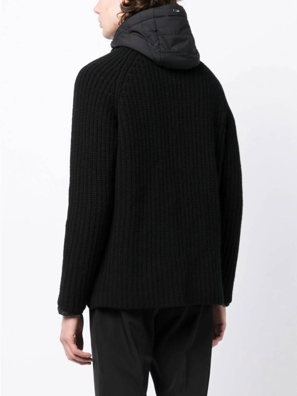 The Best Shops HERNO: ダウンコート - 黒