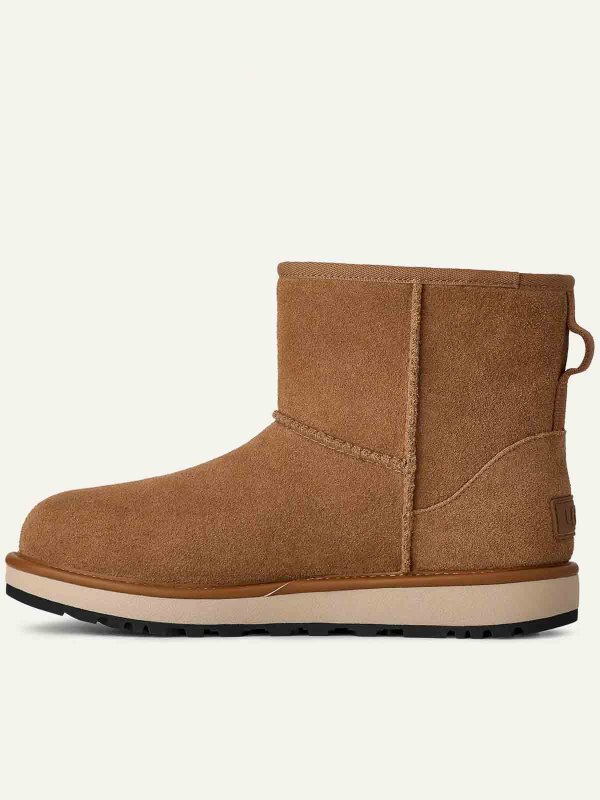 The Best Shops UGG: ankle boots - W Classic Mini Gtx