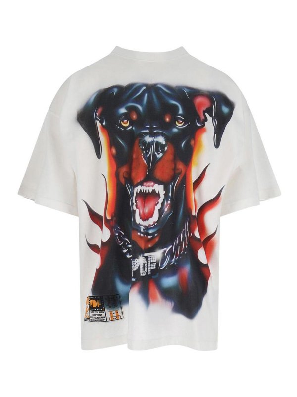 PDF: Camisetas - Camiseta - The Boy Dog