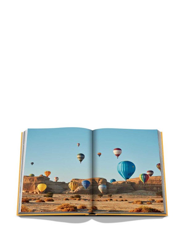 Décoration Maison - Multicolore shop online: ASSOULINE