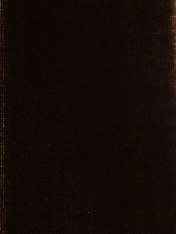 The Best Shops EMPORIO ARMANI: Écharpes - Écharpe - Marron