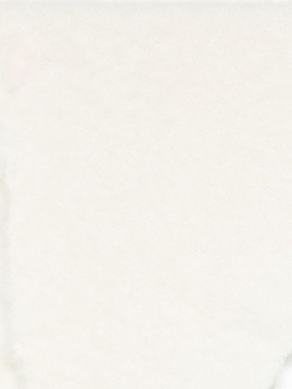 The Best Shops FALIERO SARTI: ストール＆ショール - ストール/ショール - 白