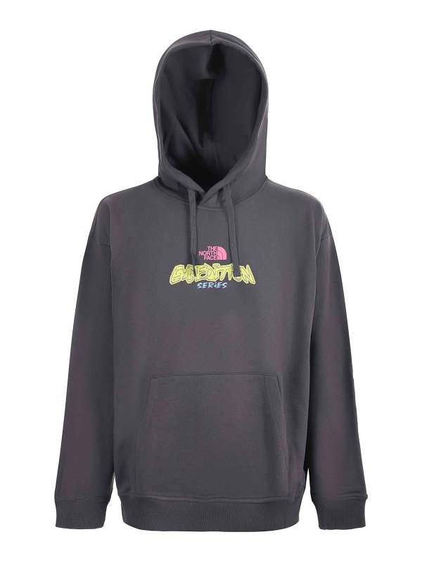 THE NORTH FACE: Sweatshirts & Pulls online - Sweat-Shirts - Gris