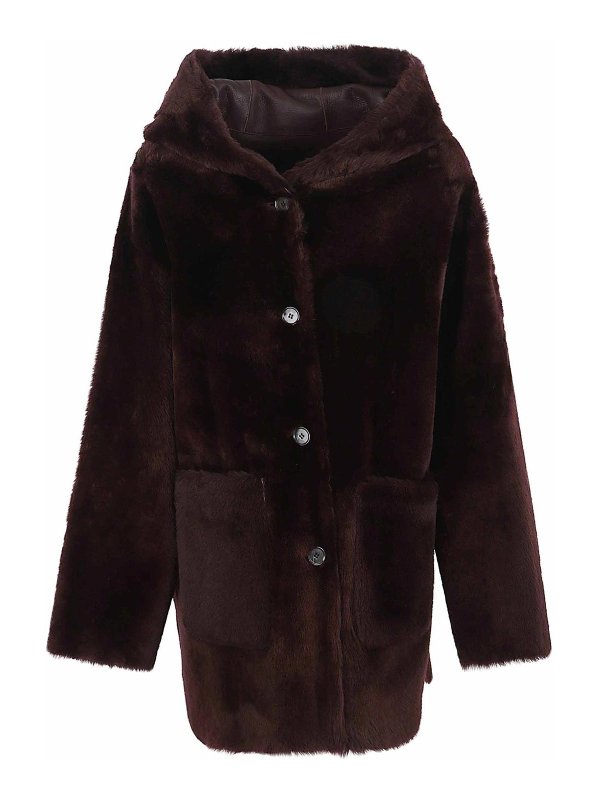 ARMA: Chaquetas casual - Chaqueta Casual - Marrón