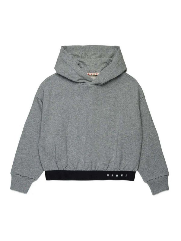 Marni: Sweatshirts und Pullover - Sweatshirt - Grau