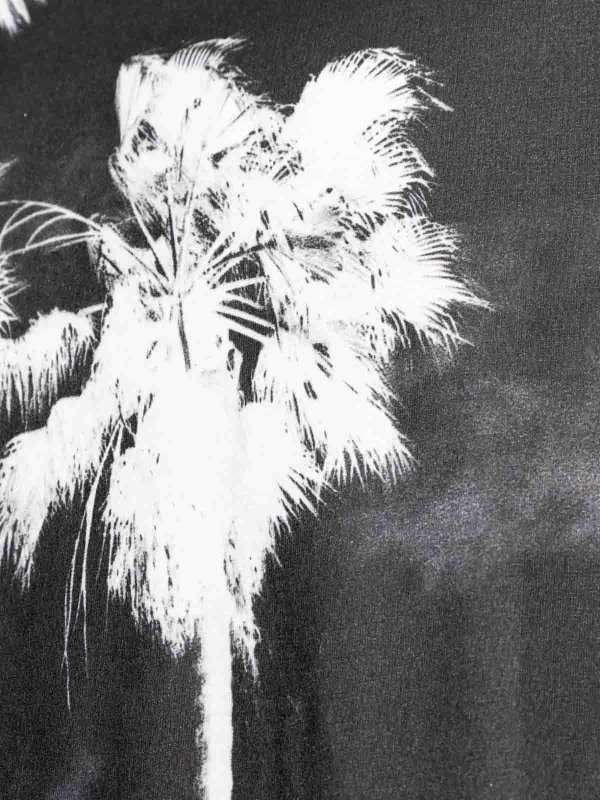 T-shirt Replica 
online: Palm Angels