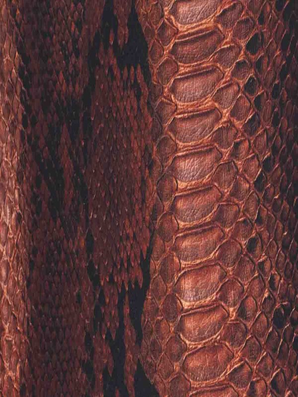 The Best Shops JEAN PAUL GAULTIER: ワンピース - ワンピース - ブラウン