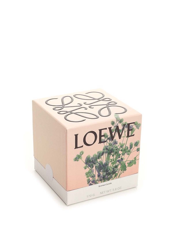LOEWE: homeware online - Small Oregano Candle