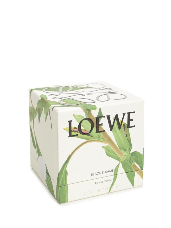 LOEWE: Heim online - Einrichtung - Schwarz
