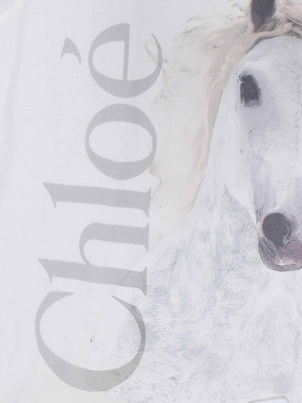 The Best Shops CHLOE