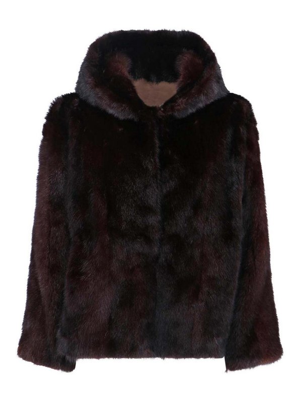 IACOPA: Blazer - Blazer - Rosene