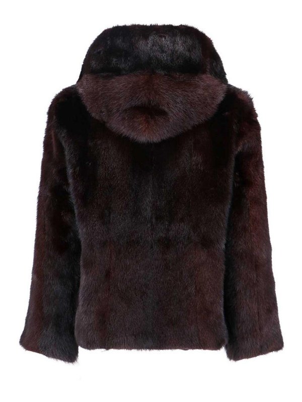 IACOPA: Blazer online - Blazer - Rosene