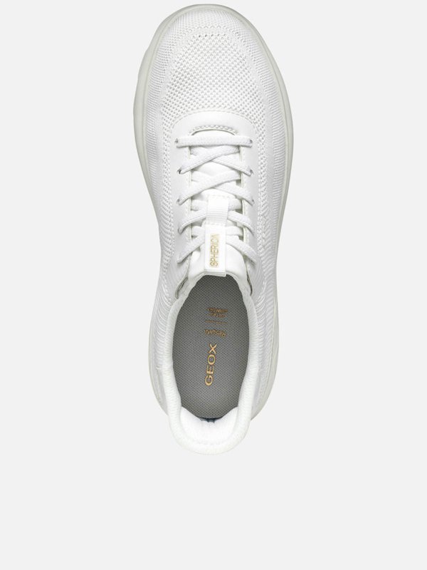 The Best Shops GEOX: Baskets - Aucun