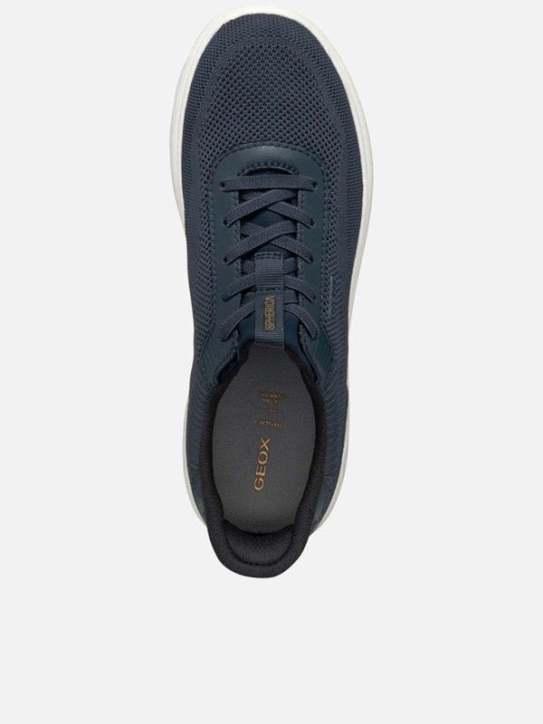 The Best Shops GEOX: Sneaker - Keine