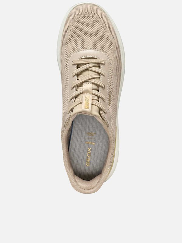 The Best Shops GEOX: Baskets - Aucun