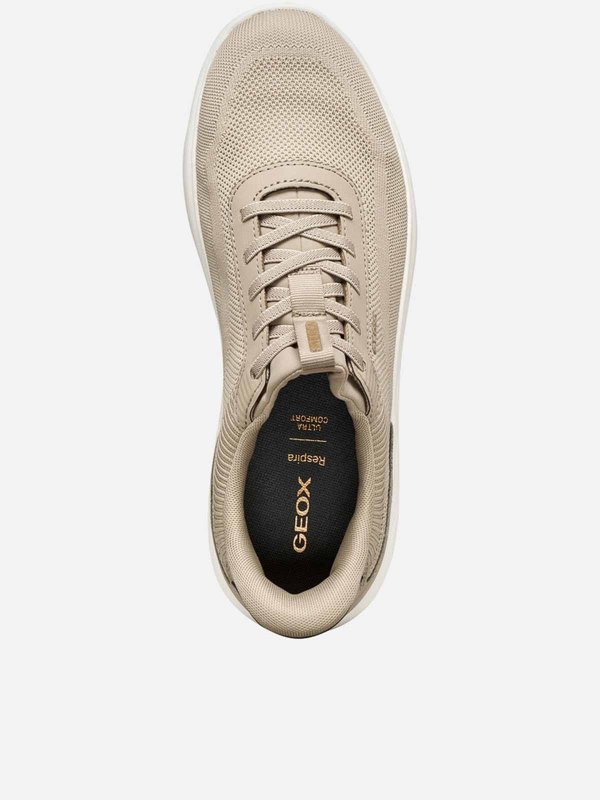 The Best Shops GEOX: Sneakers