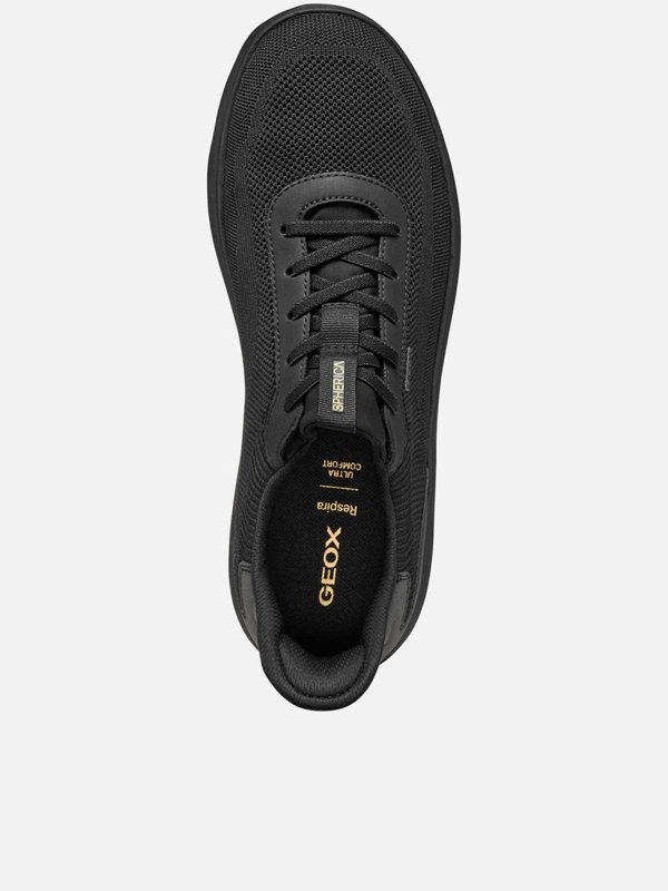 The Best Shops GEOX: スニーカー - 無