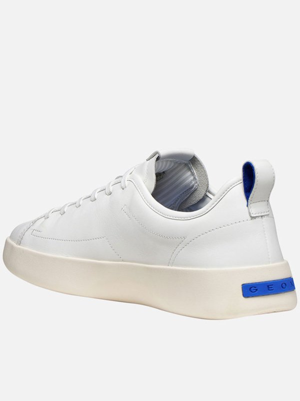 Sneakers shop online: GEOX