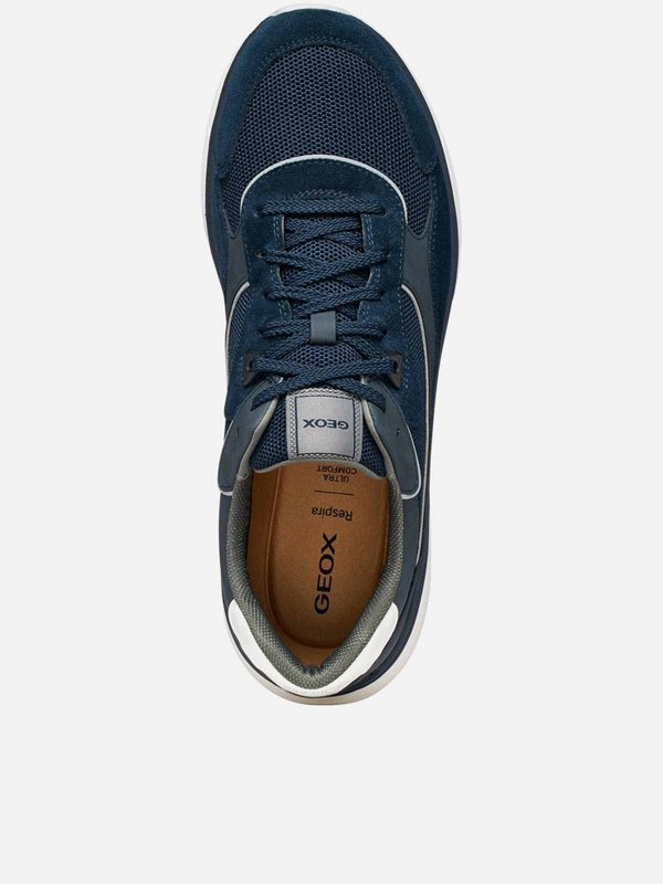 The Best Shops GEOX: Sneakers