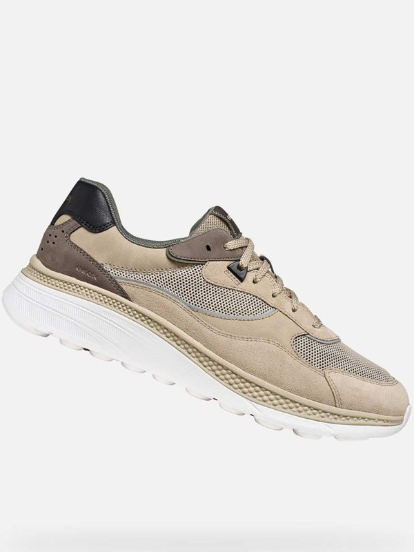 GEOX: スニーカー online - スニーカー - 無