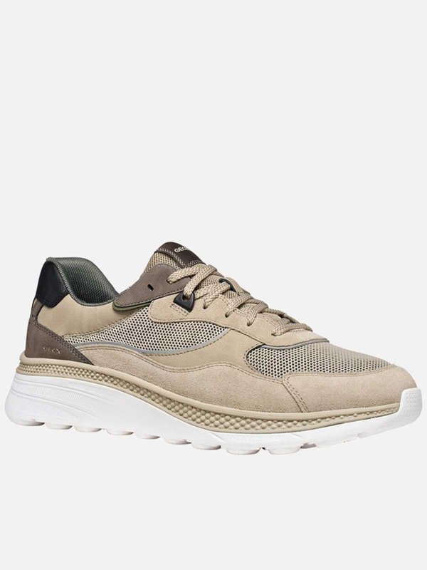 The Best Shops GEOX: スニーカー - スニーカー - 無